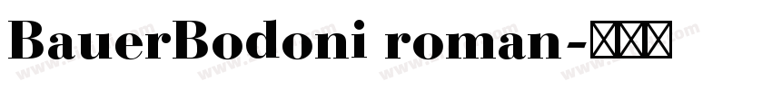 BauerBodoni roman字体转换